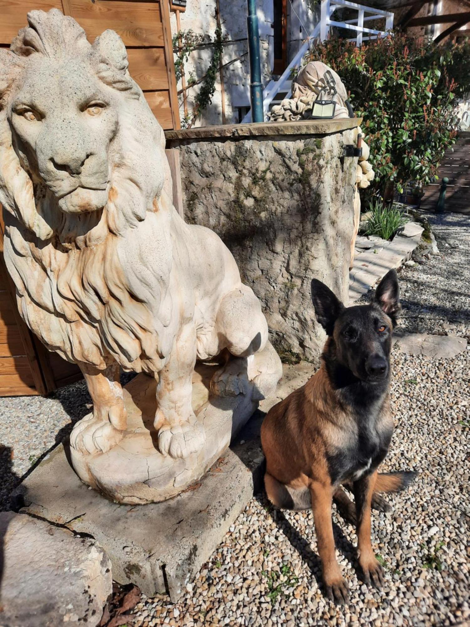 Gite Des 2 Lions Murs-et-Gelignieux Exterior photo